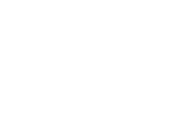 WISAG Aviation Service Holding